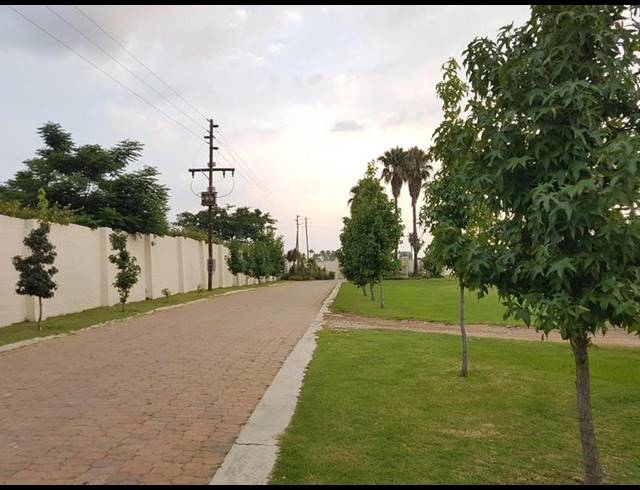 LAND FOR SALE IN KNOPPIESLAAGTE